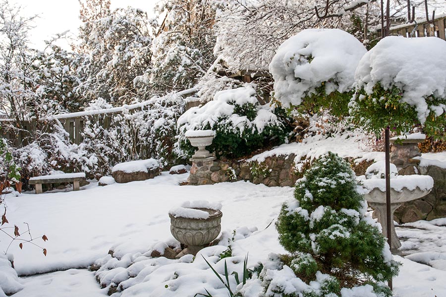 Snow-Covered Backyard