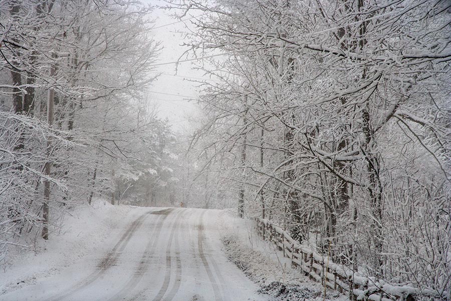 In the Snowy Woods Again