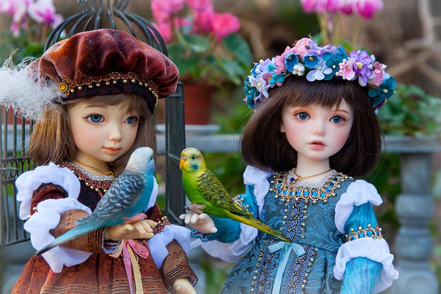 Bird Day