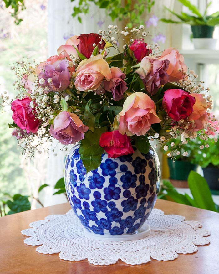 Droopy Roses