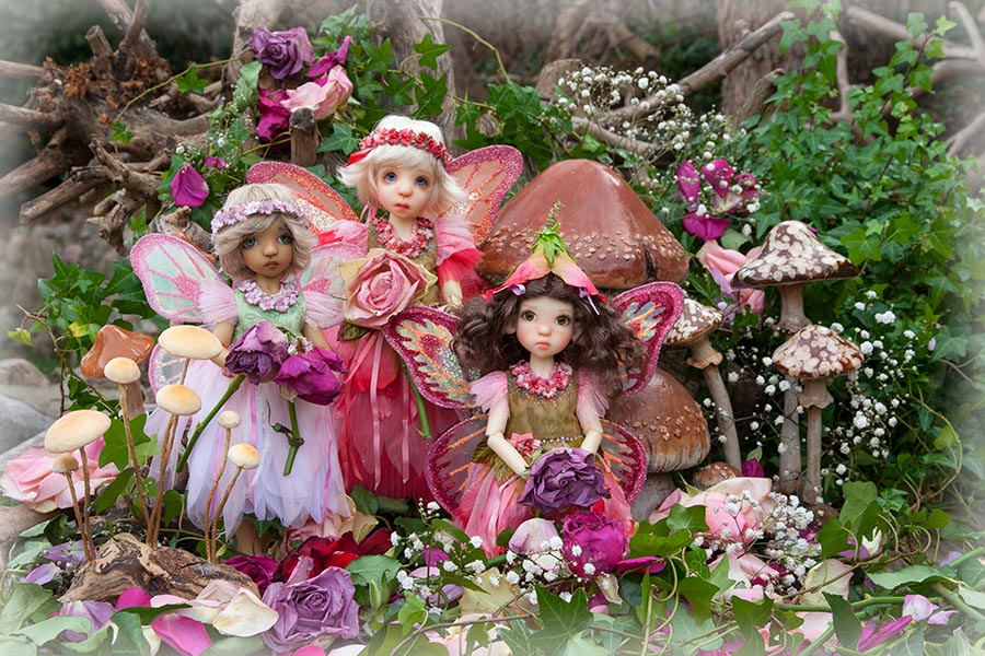 Faded Rose Fairies