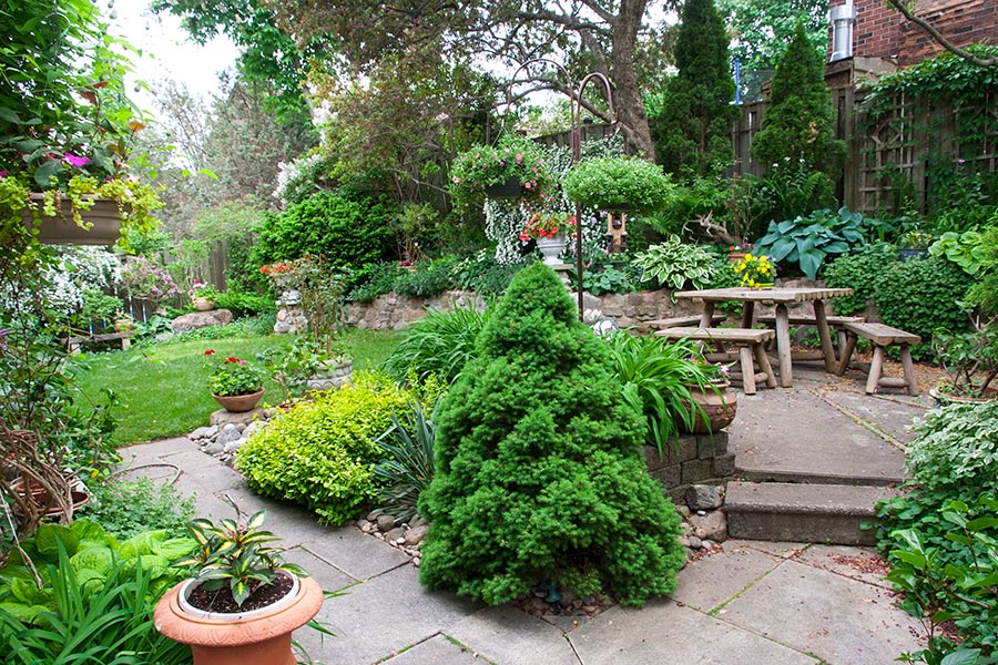 the Patio