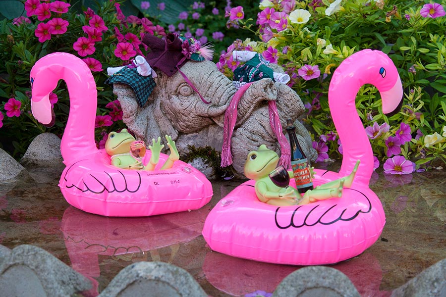 Floating Around the Bird Bath on Swimming Pool Day