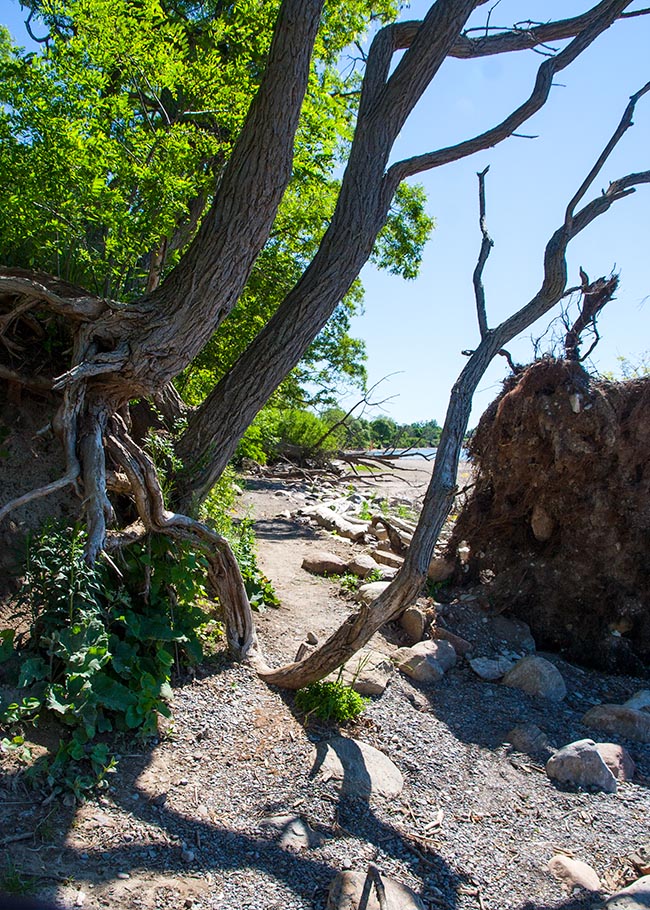 Beach Trail