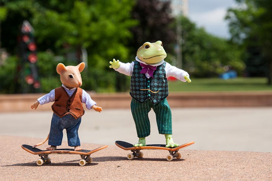 Skate Boarding