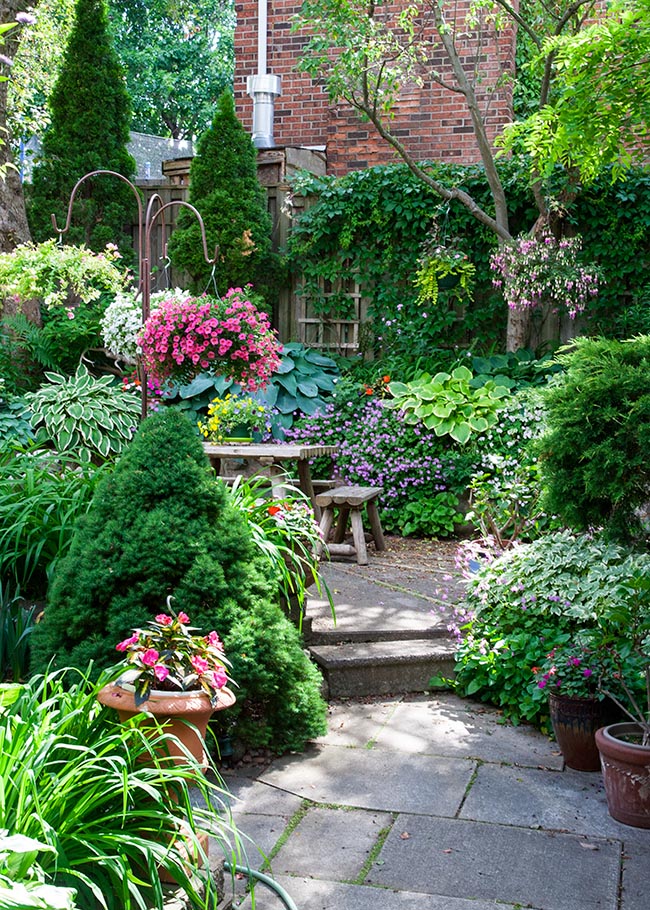 Path to the Patio