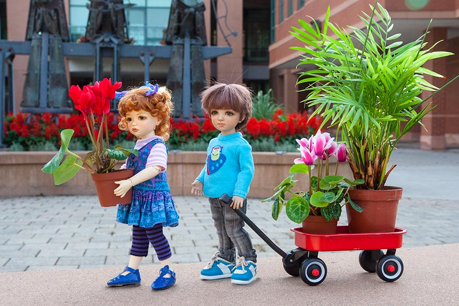 Taking Their Houseplants for a Walk