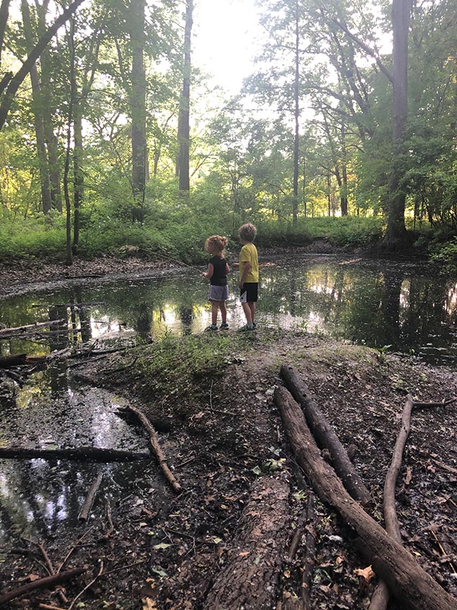Exploring in the Woods