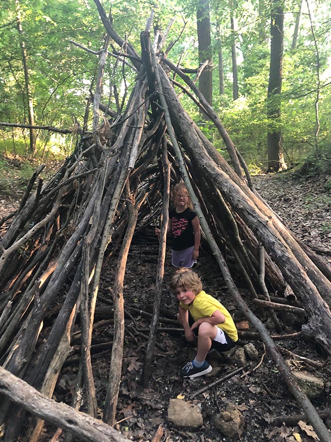 Shelter in the Woods