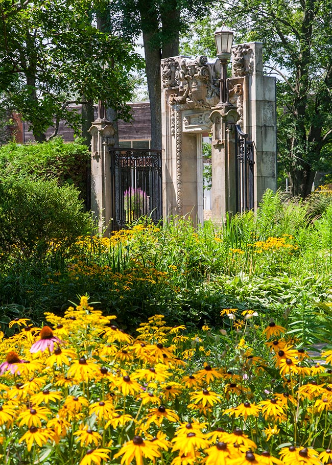 Gate with Gloriosa Daisies