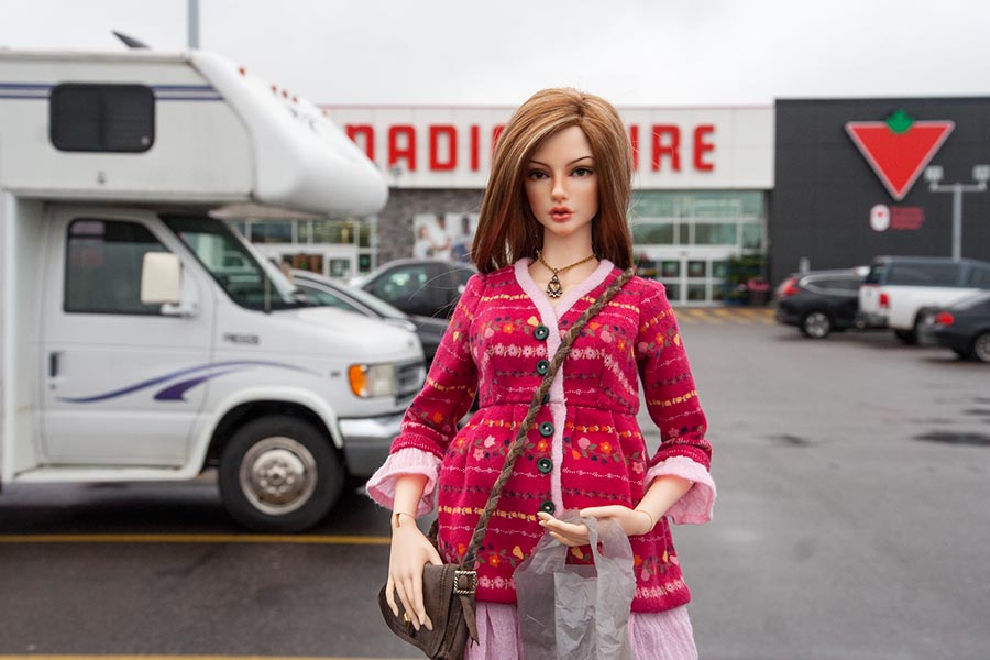 At Canadian Tire for some Replacement Bulbs