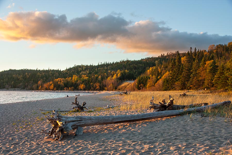Beach in the Evening