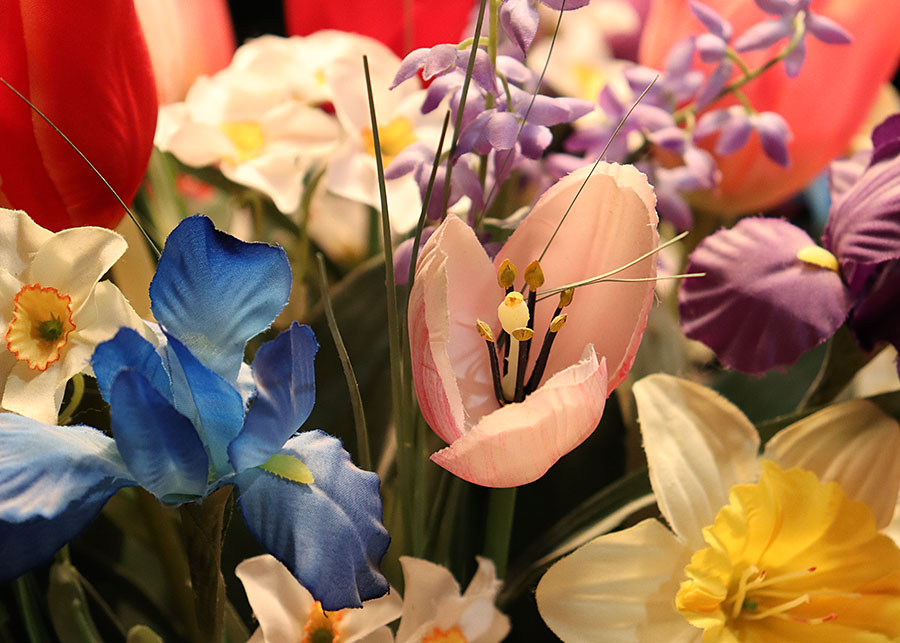 Test Image with SL3 Camera