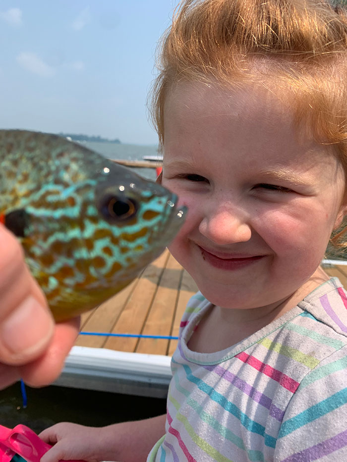 the Sunfish