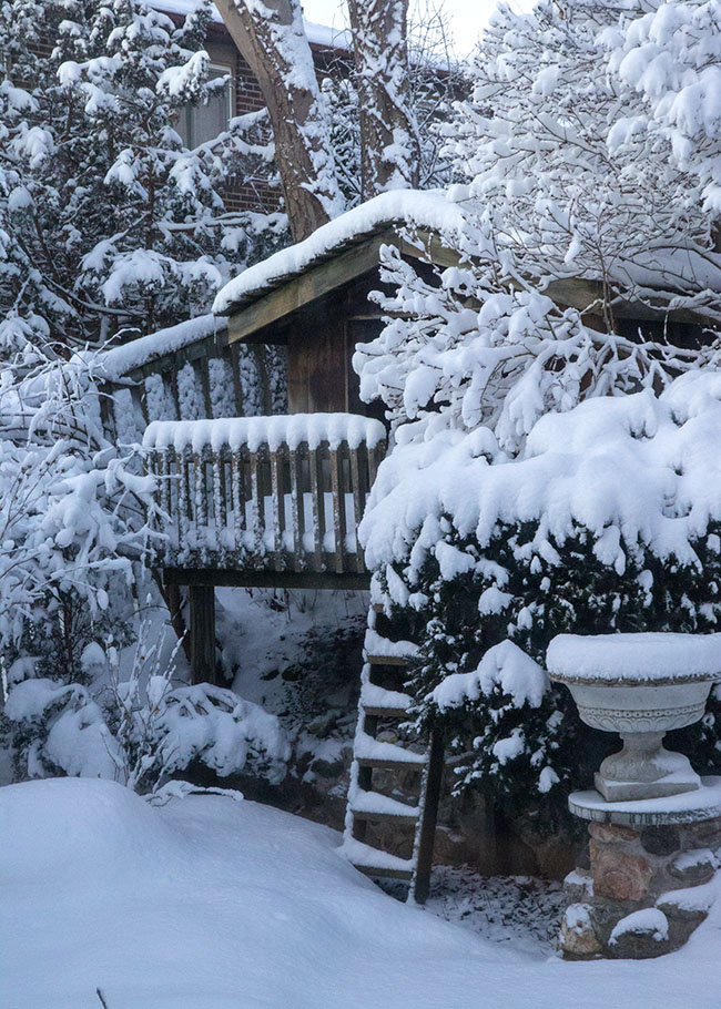 Another Snowfall