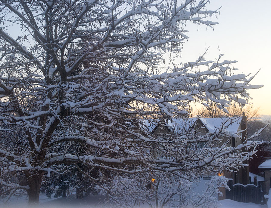 Sun Rise After a Snowfall