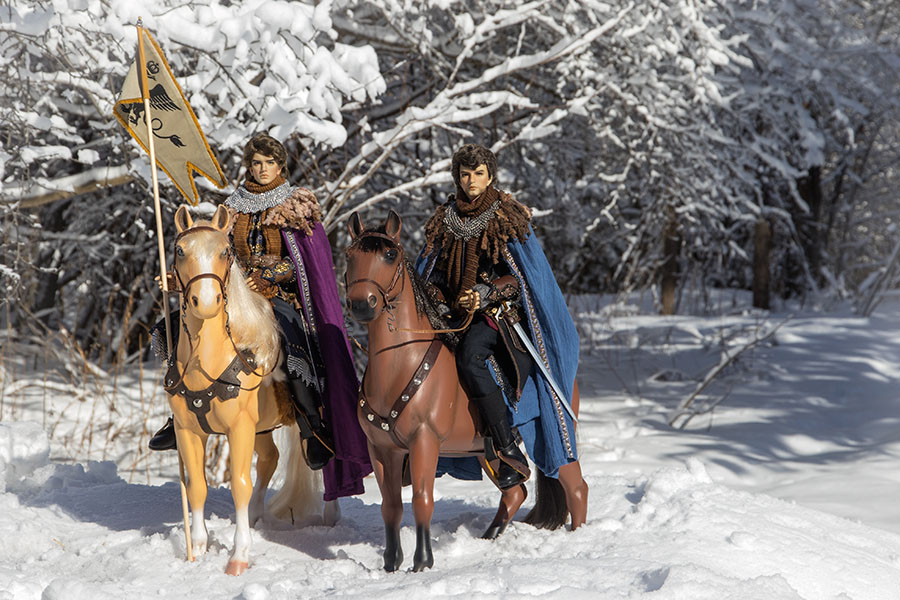 Knights on Patrol