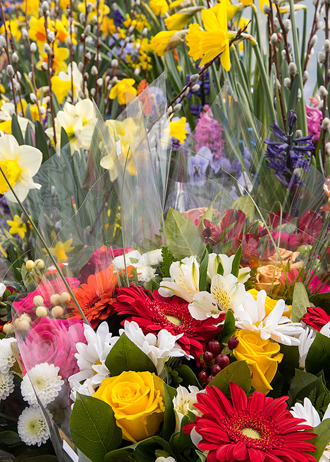 Spring Flowers
