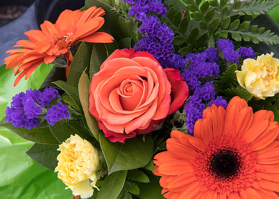 Orange & Purple