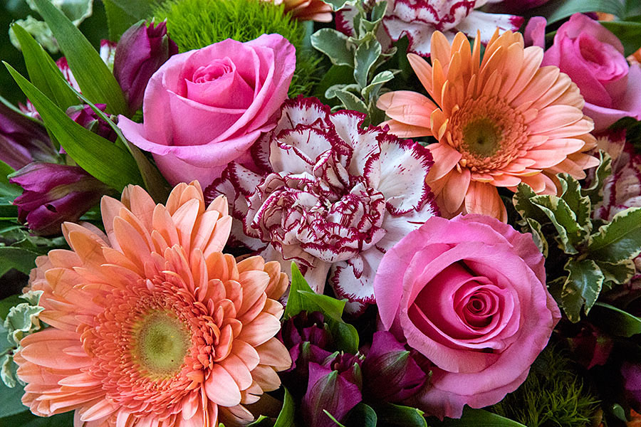 Orange and Pink