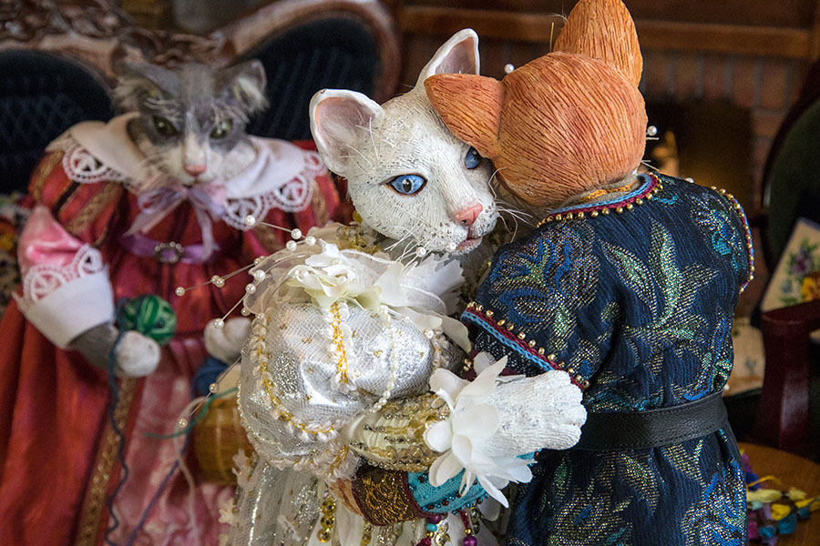 "I don't want to be a cat anymore!"