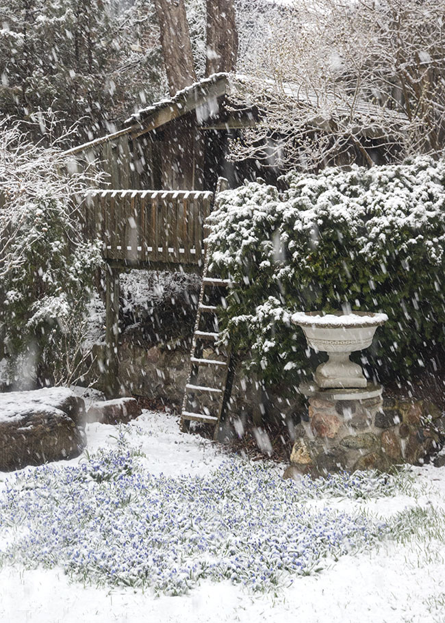 Burried Under the Snow