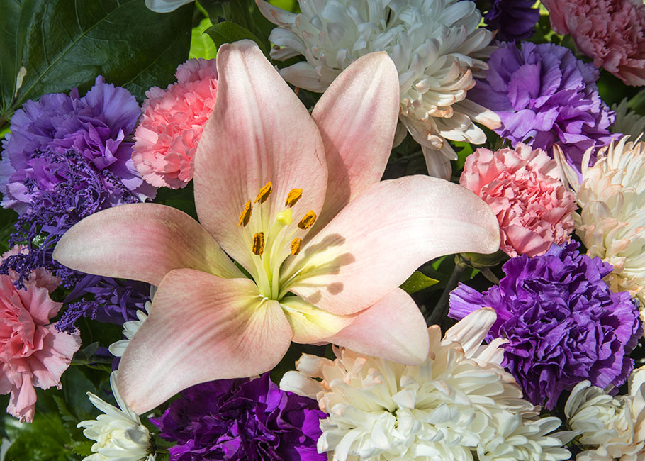 Flowers from Marianne