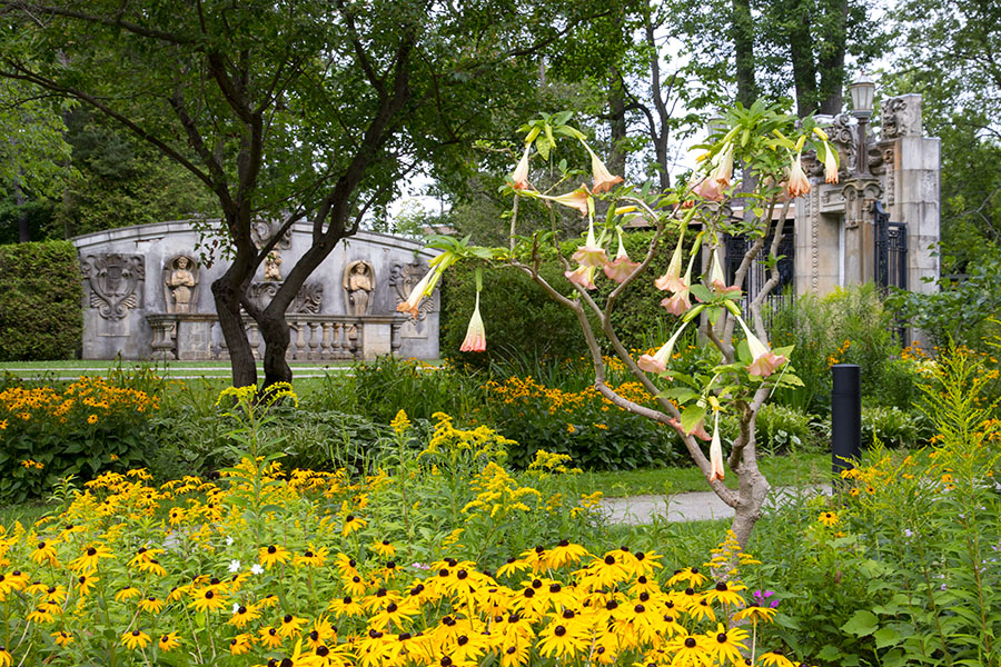 the Ruins Garden