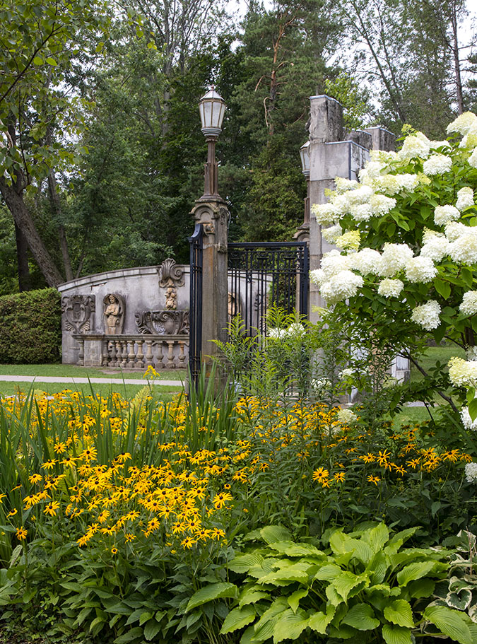 Gloriosa Daisies and Hydrangea