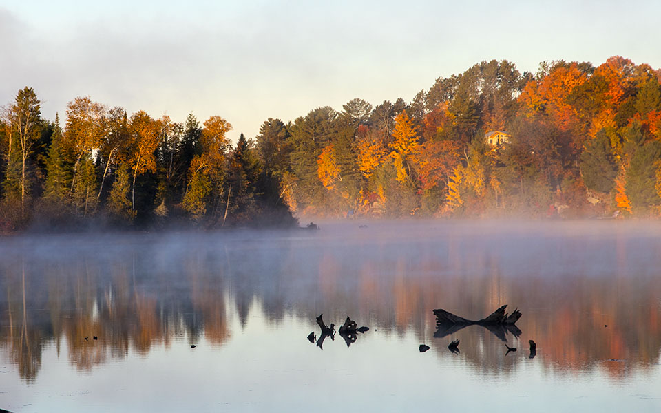 Misty Reflection