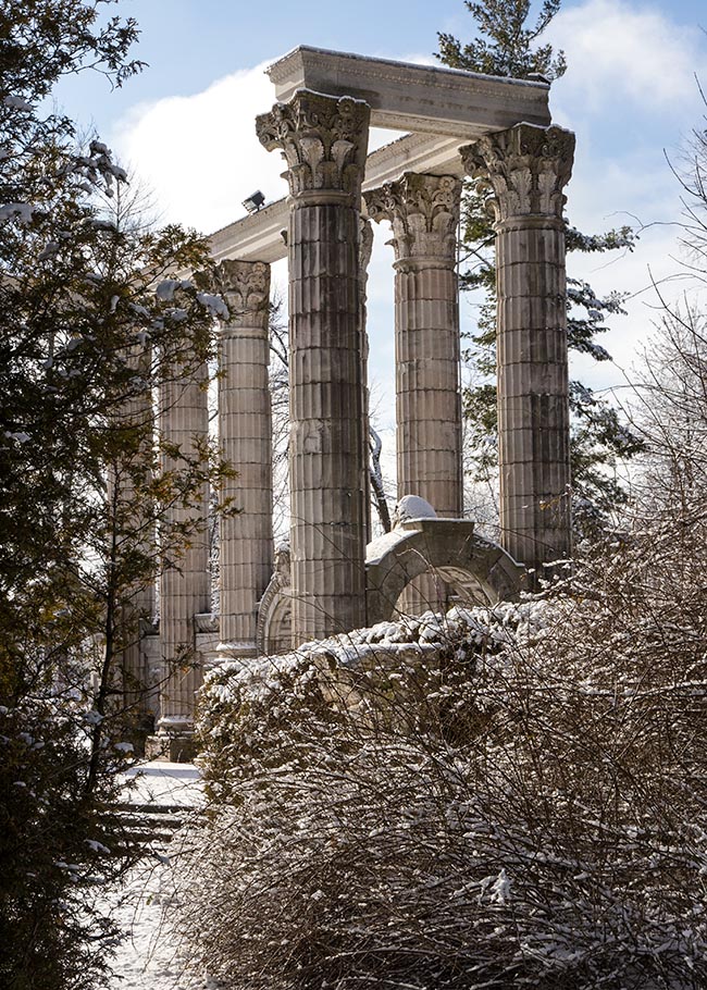 Pillars Through the Trees