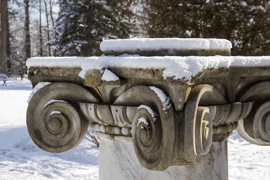 Snowy Capital