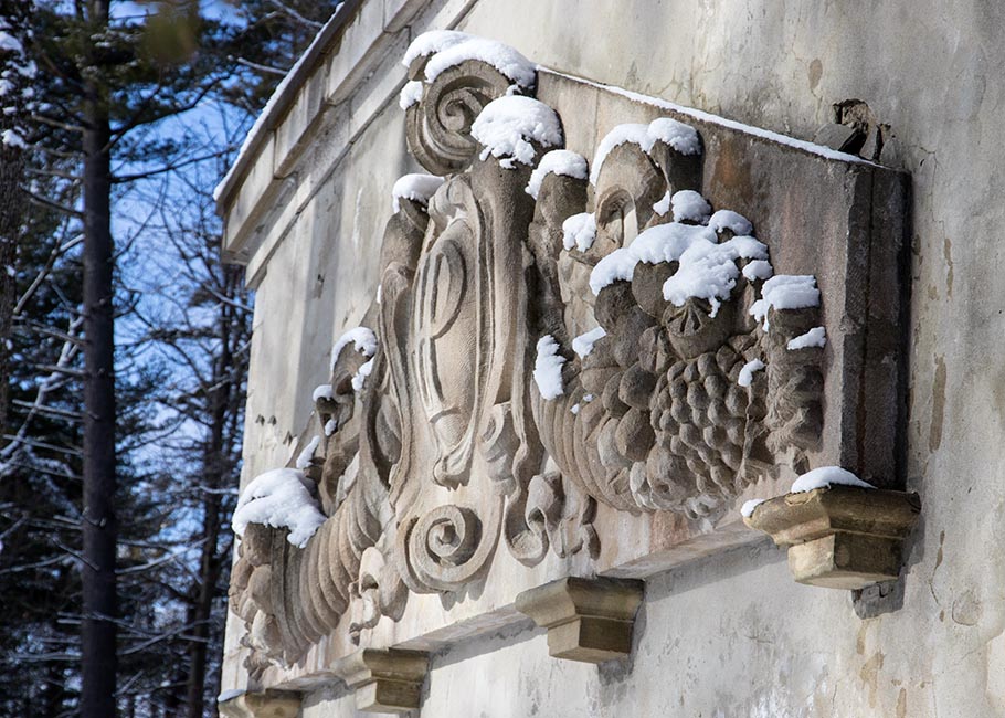 Snowy Carvings