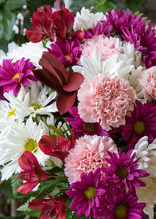 Valentine Flowers from Jan