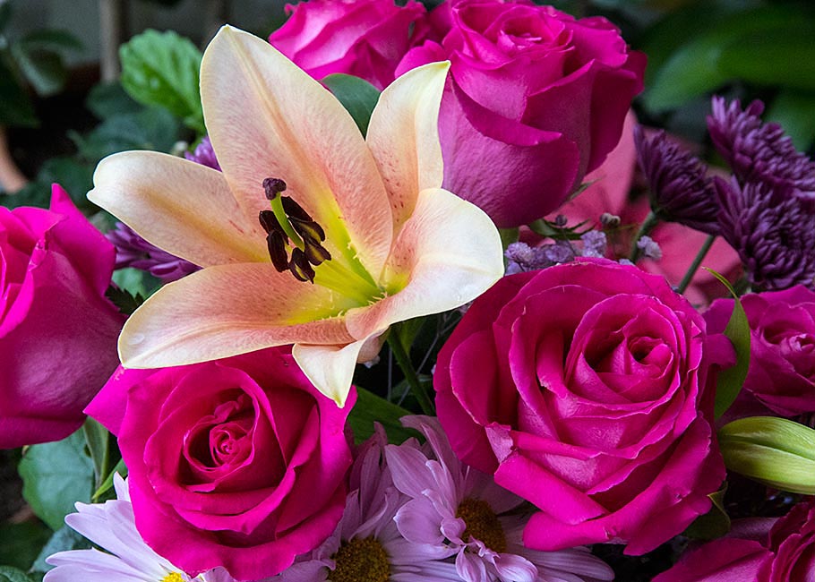 Mystery Valentine Flowers