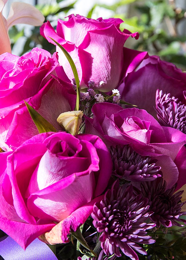 More Roses