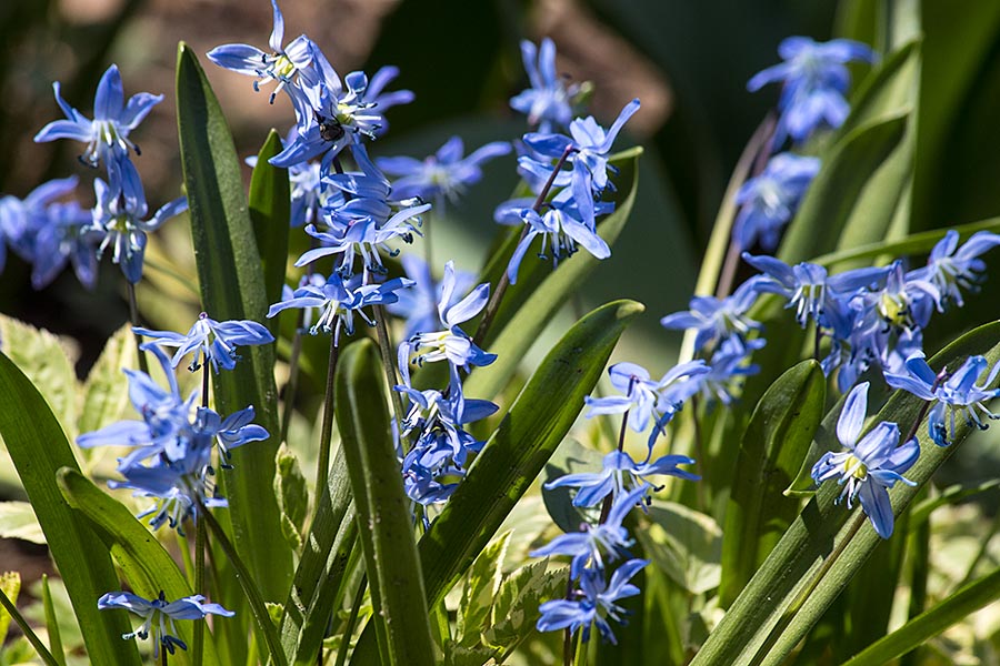 At the Edge of the Upper Garden