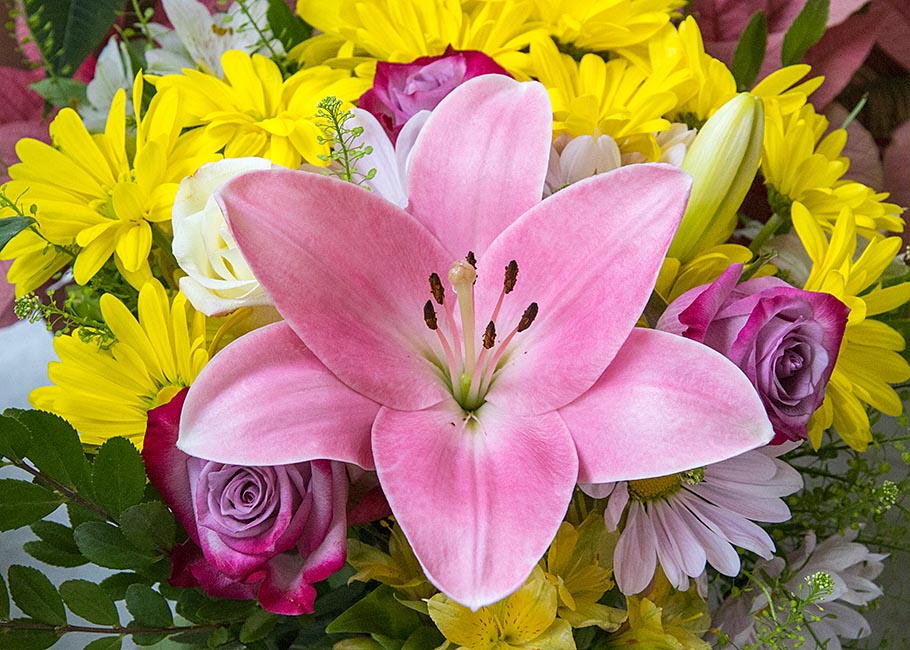 Lily Blooming in Birthday Bouquet