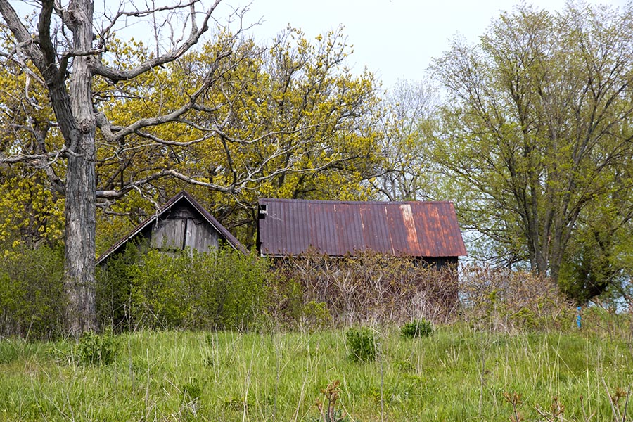 Rusty Barn