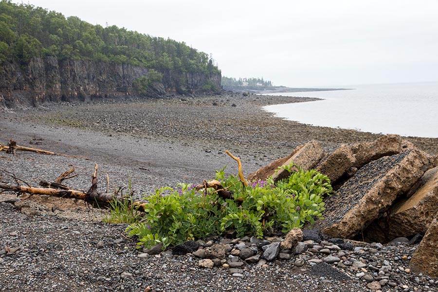 the Bay of Fundy