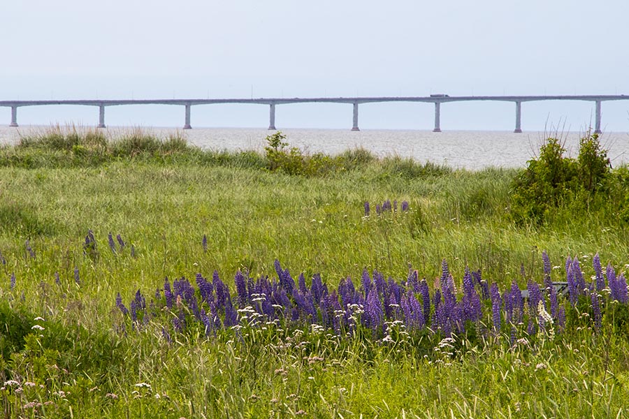the Confederation Bridge