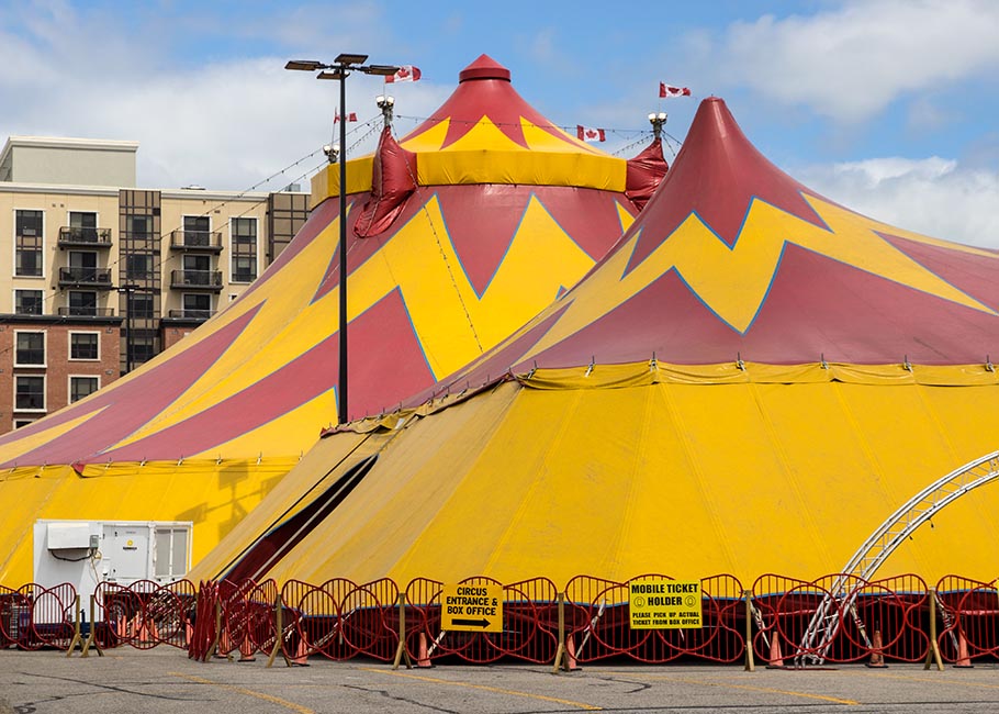 the Circus is in Town