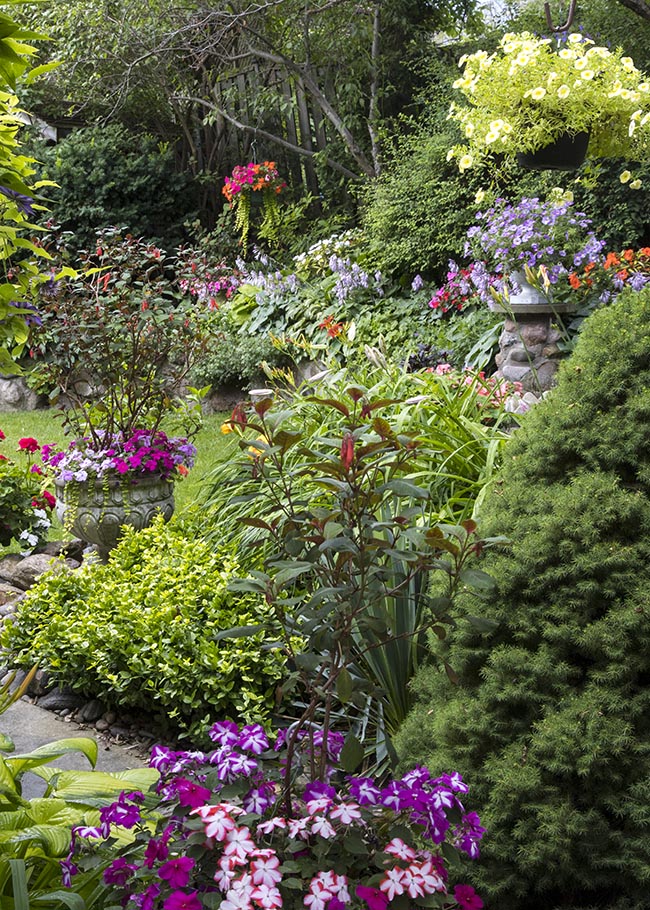 Looking Into the Backyard
