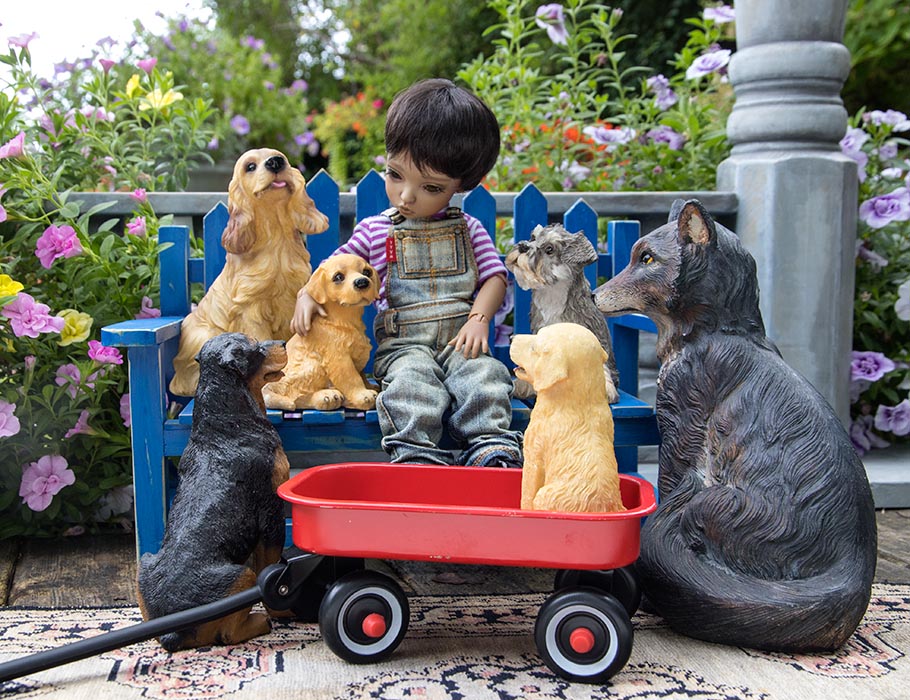 A Boy's Best friends