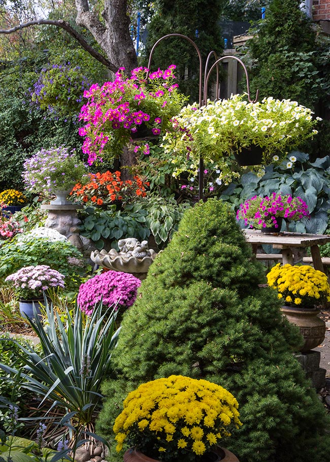 Fall Garden