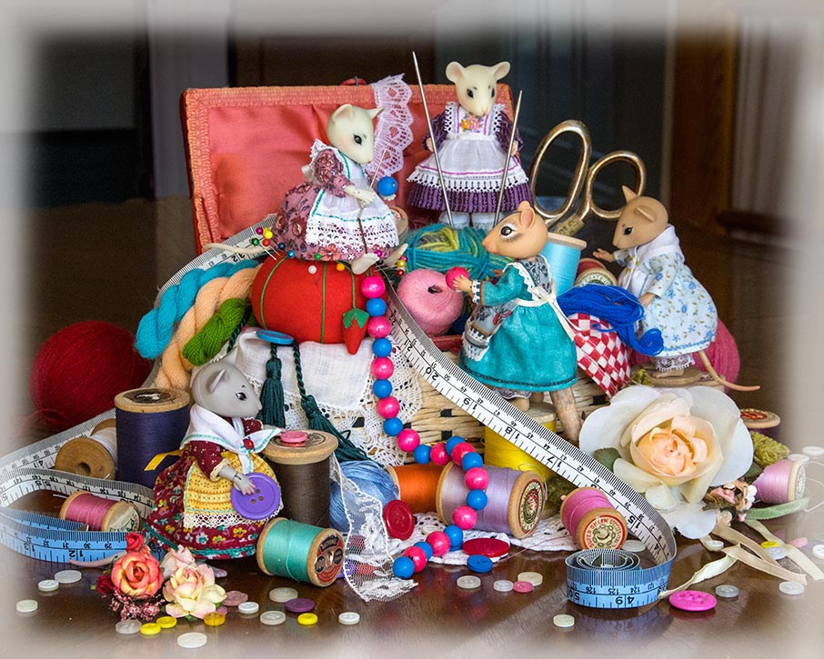 the Sewing Class