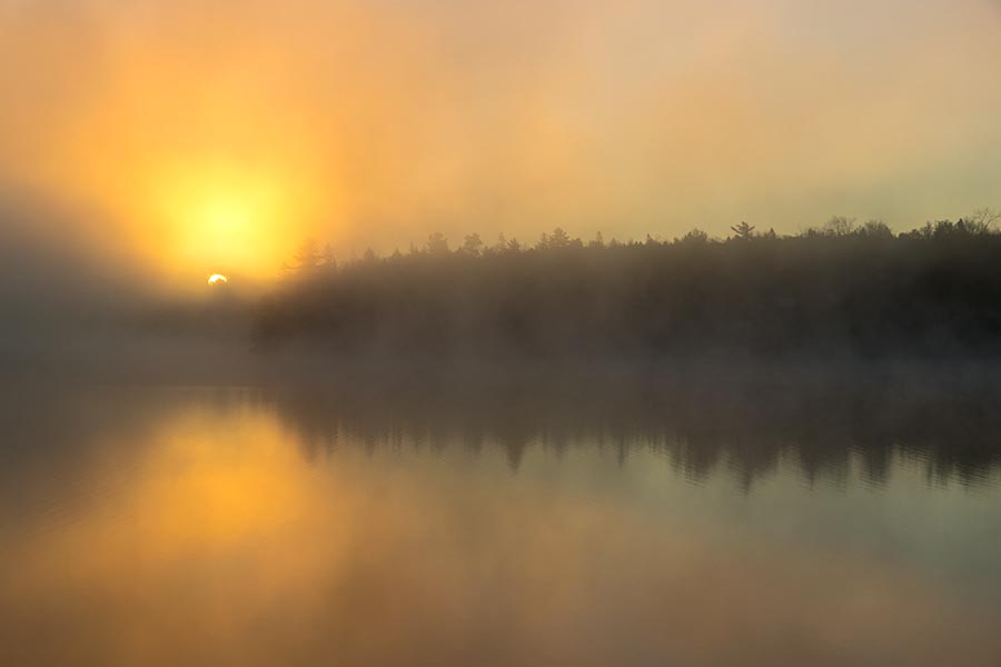 Misty Sunrise