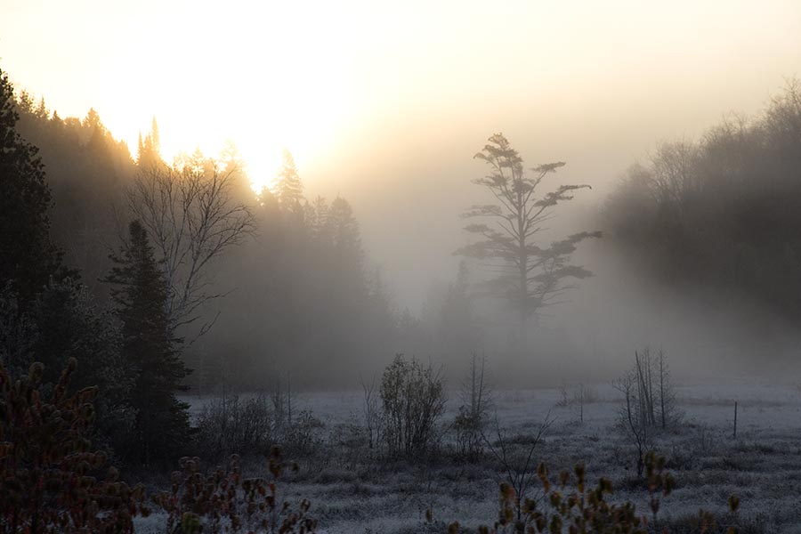 Morning Mist along Road to Searchmont