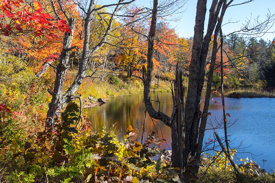River into Carlyle Lake
