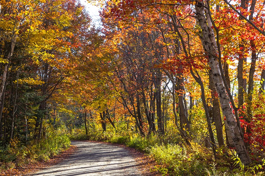 Chickanishing Creek Road